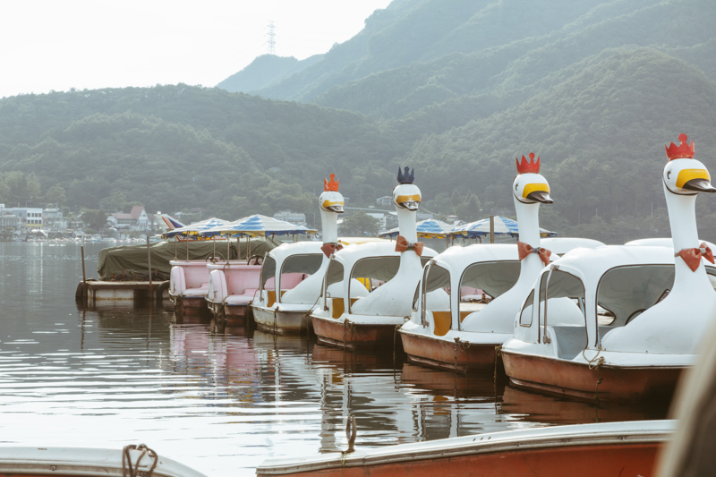 スワンボートが並ぶ湖